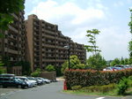 DSCF2339.JPG