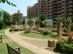 DSCF2347.JPG