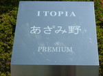 DSCF2430.JPG