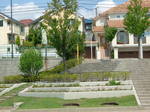 DSCF2431.JPG