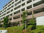 DSCF2438.JPG