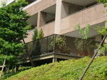 DSCF2439.JPG