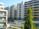 DSCF2516.JPG