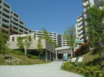 DSCF2781.JPG