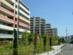 DSCF2786.JPG