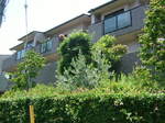 DSCF2803.JPG