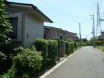 DSCF2807.JPG