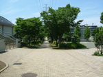 DSCF2817.JPG