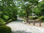 DSCF3127.JPG